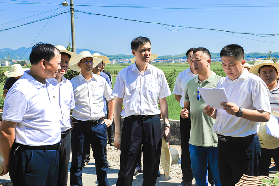 周海兵专题调研部署地质灾害防治工作