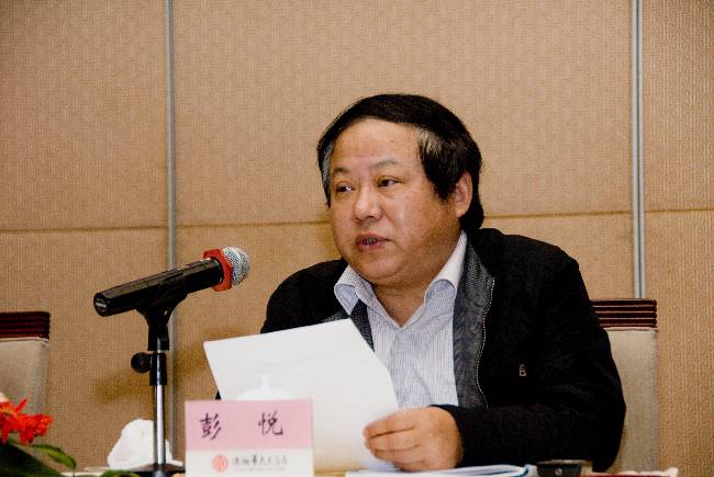 彭悦总工程师20100519-02