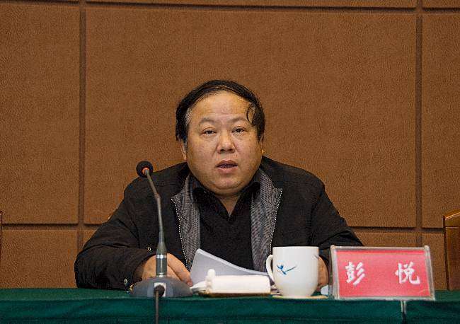 省厅党组成员总工程师彭悦在会议上作重要发言20100421-2