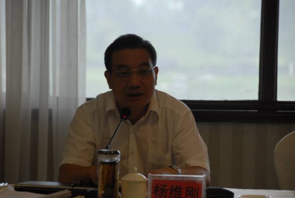 副厅长杨维刚做重要讲话
